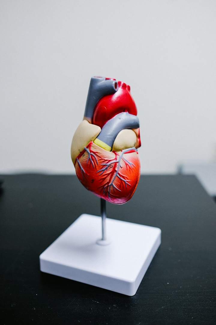 Cardio-respiratory teaching