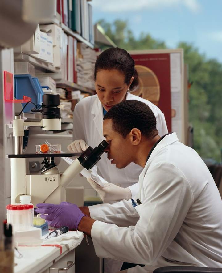 Physiology and pathology practicals